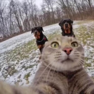 Freshka ************