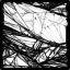 Wintermute