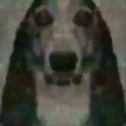Hartahim avatar