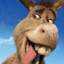 donkey