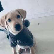 她说人很多以为有我