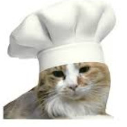 cat can cook