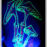 †PsychopsilocybiN†