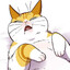 Haft