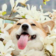 尝尽悲欢难言离合