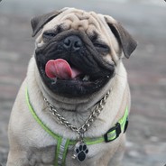 Pug