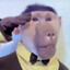 Monkey with a fade