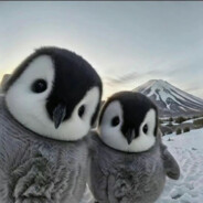 максім228сталкер