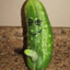 SlipperyPickle