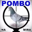 Mata Pombo