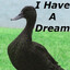 MallardLutherKing