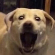 宇宙超级无敌暴龙兽