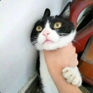 啦啦啦啦德玛西亚