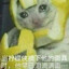 乖乖怪