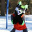 Furry Phineas flynn