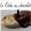 Le Fishe