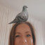 Lillakringlan