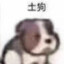 三七