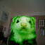 glert