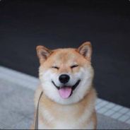 쌍동