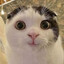 Inwoker
