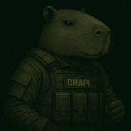 Chapi - steam id 76561199436560102