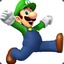 Luigi Flow