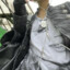 9slits