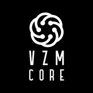 ViZiM