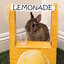 buny