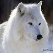 BARRETO - steam id 76561198085435200