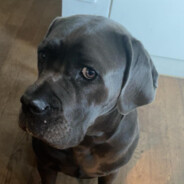 Lekr0 - steam id 76561198878931534