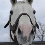 雷军用小米17开su7