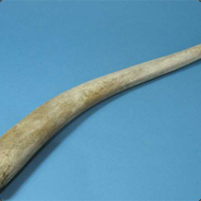 моржовый хрен