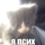 Avatar of player a