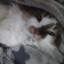 Yuko_