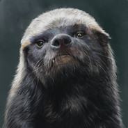 我有个大胆的想法