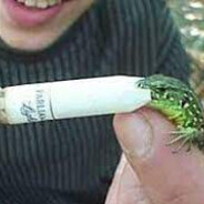 Илюха Трактор