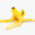 Banana Peel
