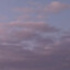 lavender heavens