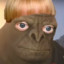 Trannisaurus