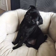 昵称正在违规中......