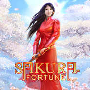 WE ARE HAVE ЦЫГИЛ