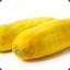 Yellow Cucumber