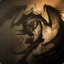 Umbra_Ignis