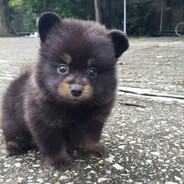 175см55кг19лет (она) ПОДРУГА СЛА