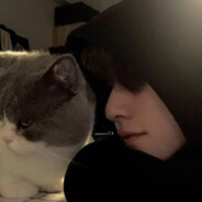 落基山脉小海豹