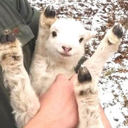 目力基推人阿新