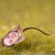 👩🏼‍🦰 akinorev_👩