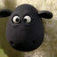 Shaun